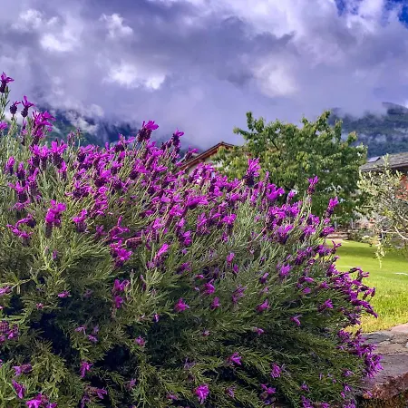 Alle Macine - Historic Molino Maufet Watermill - * コーリコ