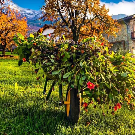 Alle Macine - Historic Molino Maufet Watermill - * コーリコ