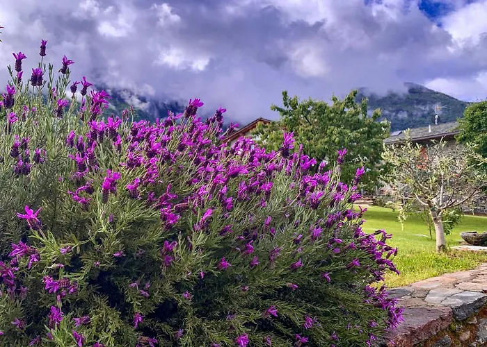 Alle Macine - Historic Molino Maufet Watermill - * Colico