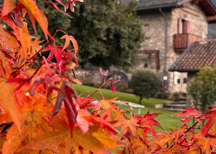 Alle Macine - Historic Molino Maufet Watermill - Apartament